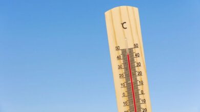 Quais são os efeitos do calor excessivo no corpo humano?